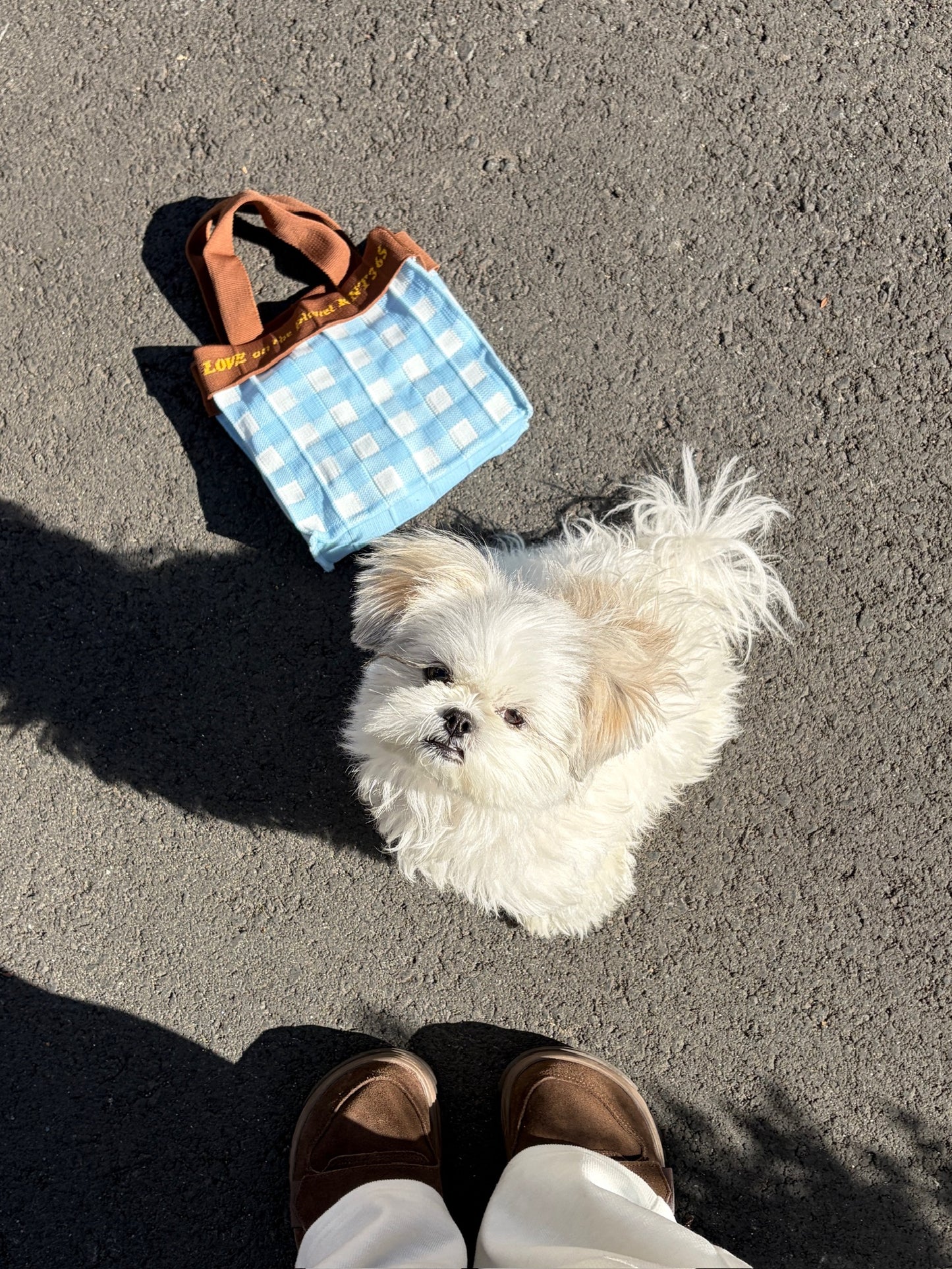 Co-Knitty / Gingham / Lt.Blue