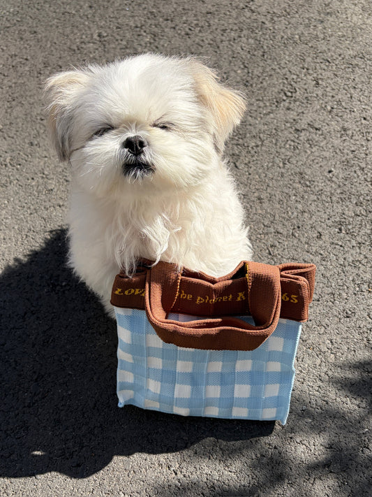 Co-Knitty / Gingham / Lt.Blue