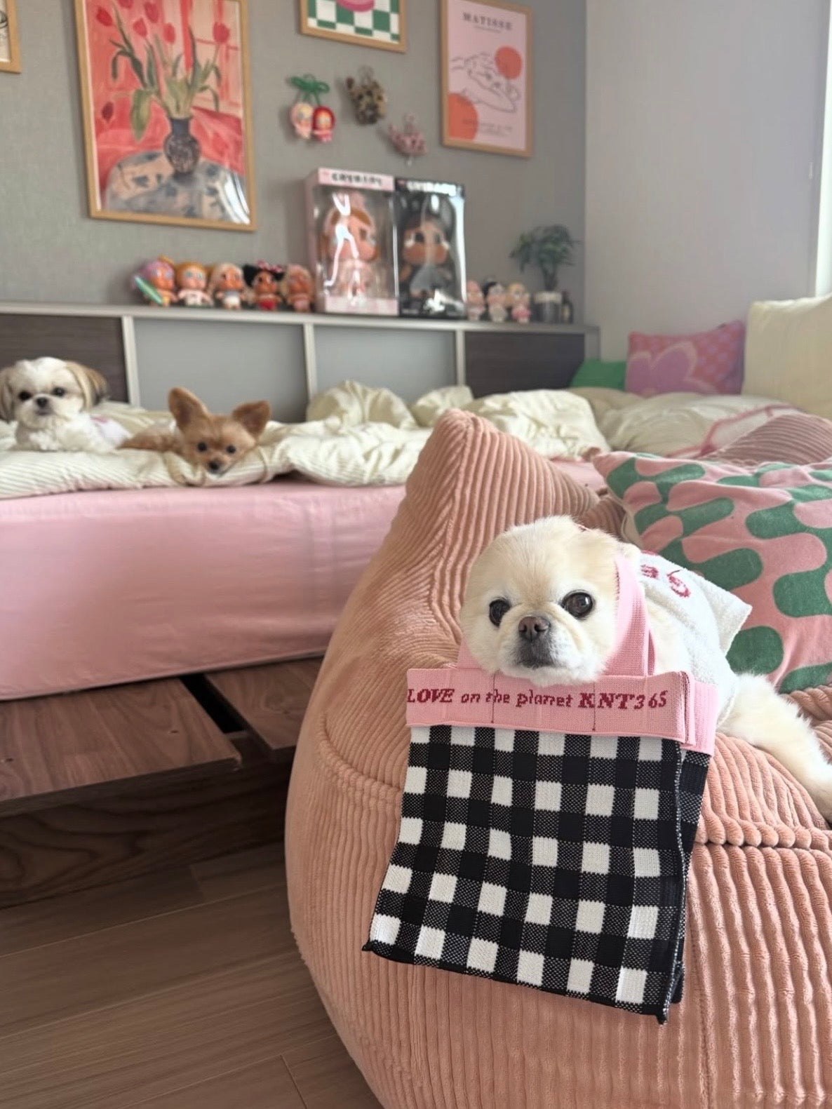 Co-Knitty / Gingham / Black