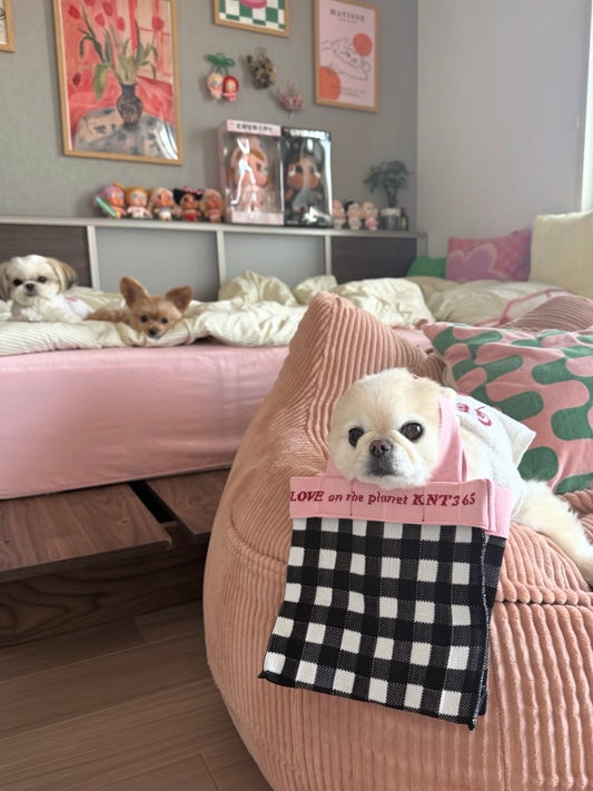 Co-Knitty / Gingham / Black