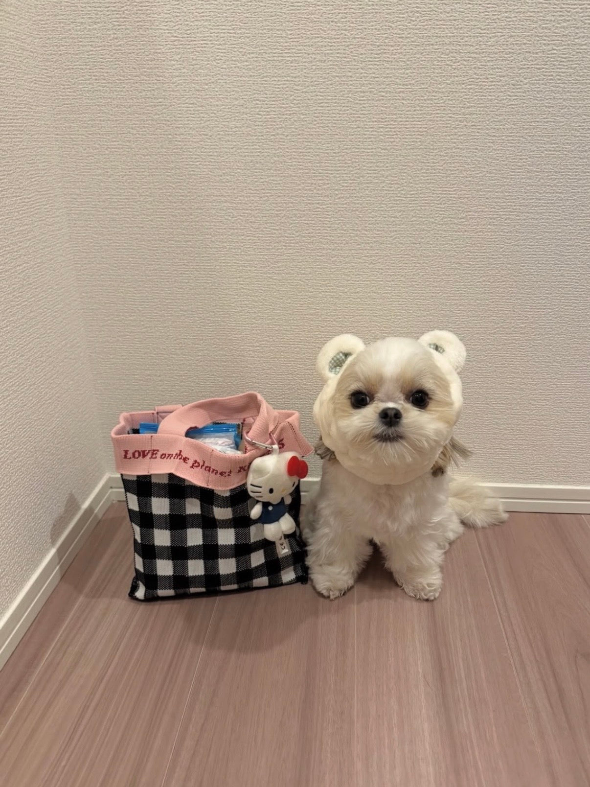 Co-Knitty / Gingham / Black