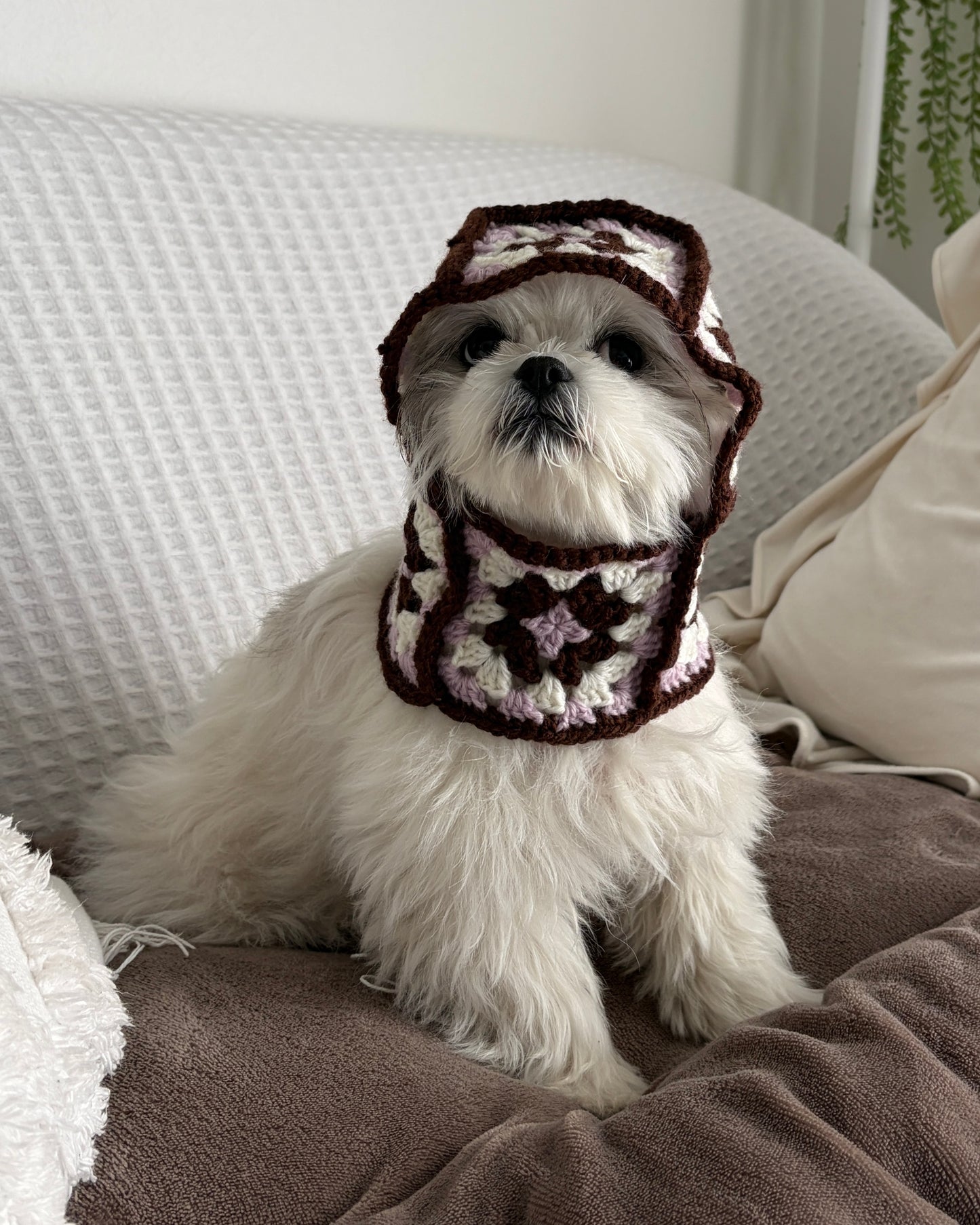 Dog Balaclava