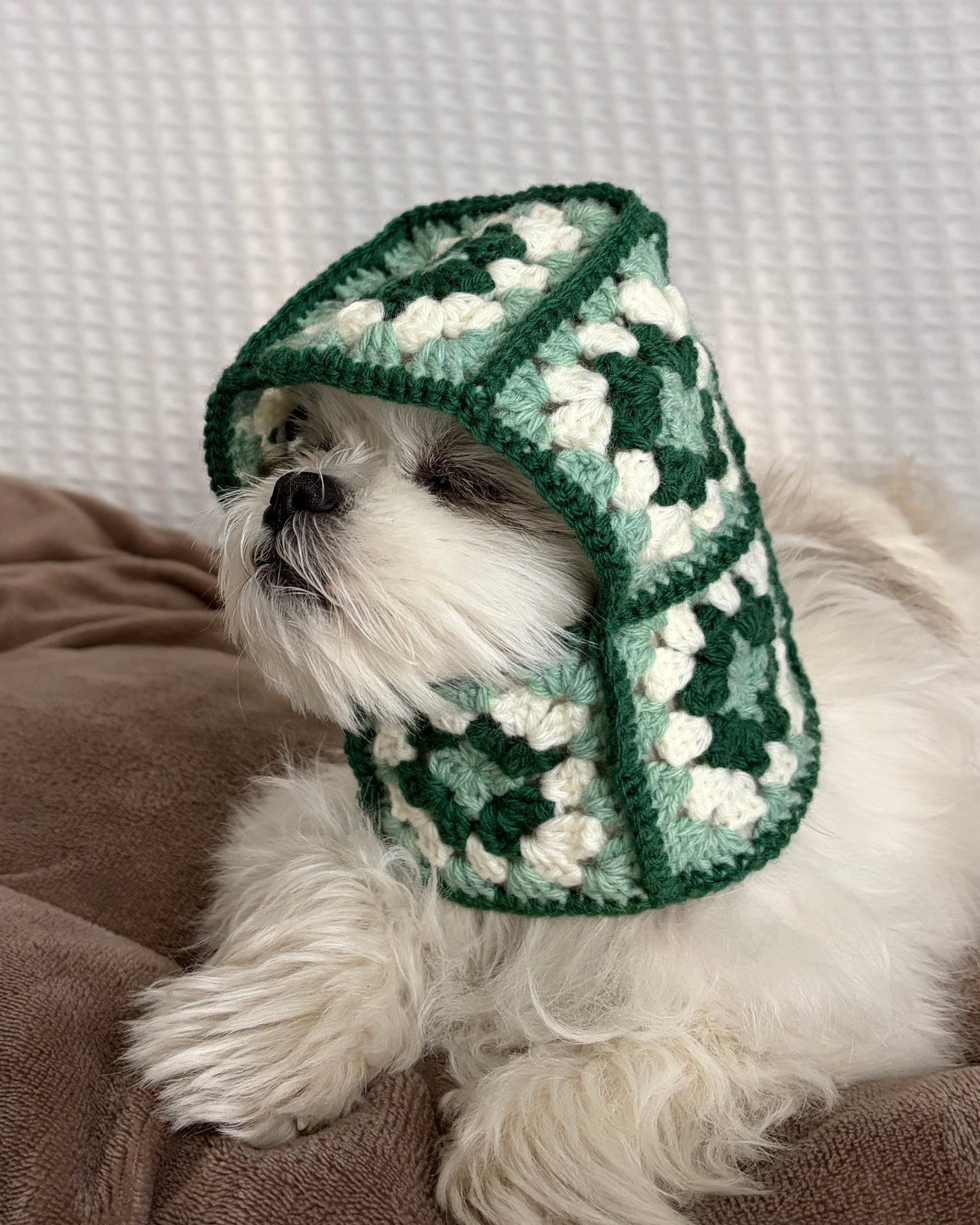 Dog Balaclava