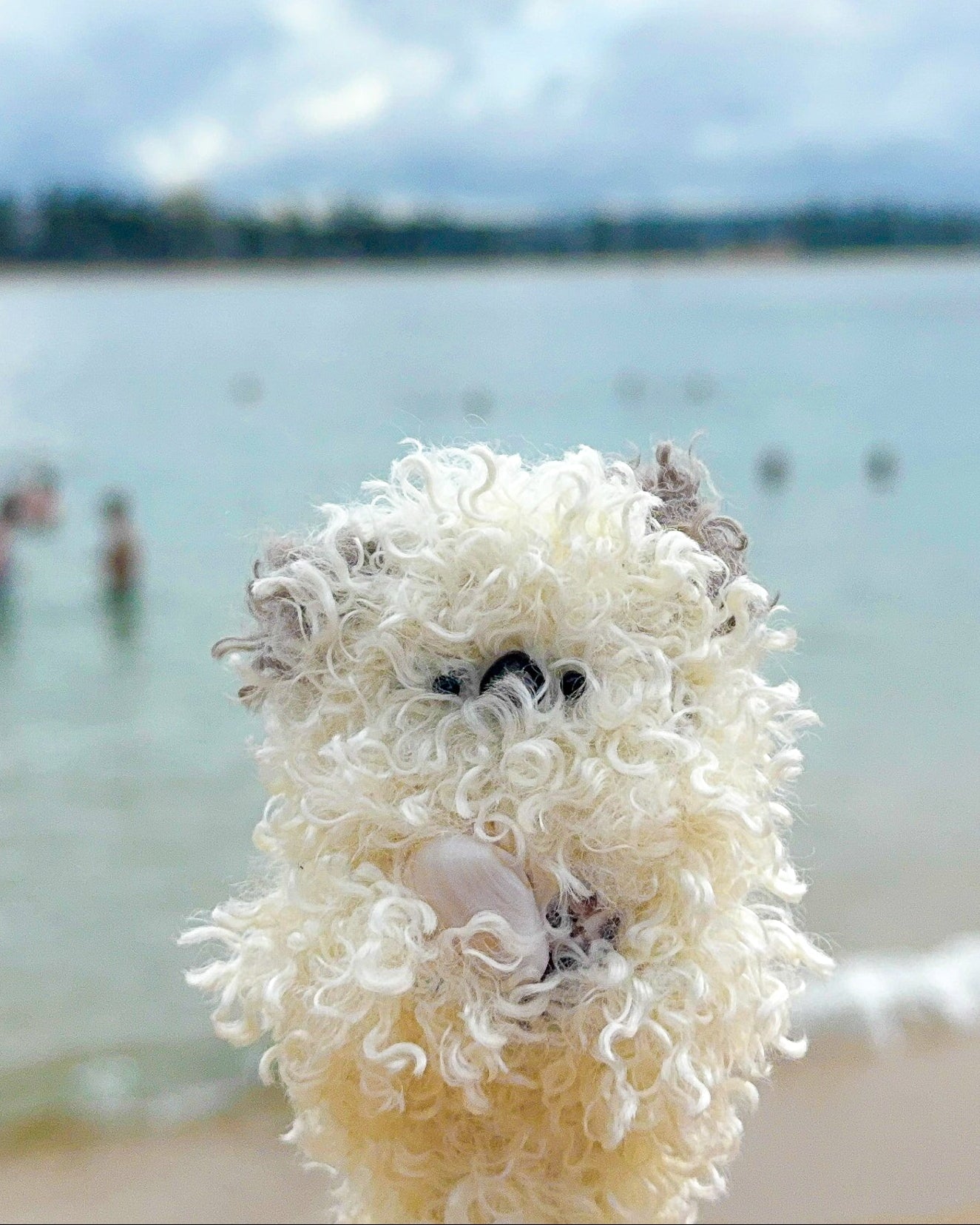 Sea Ottar Keycharm / Shelly