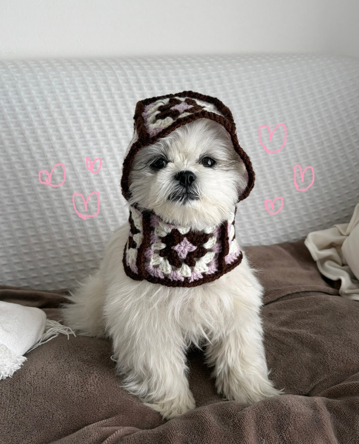 Dog Balaclava