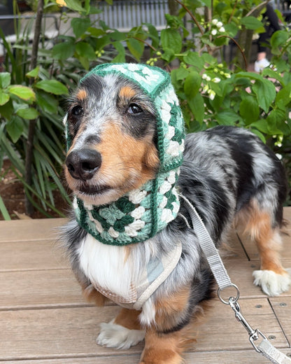 Dog Balaclava