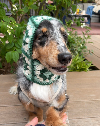 Dog Balaclava