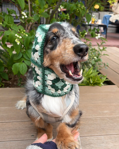 Dog Balaclava
