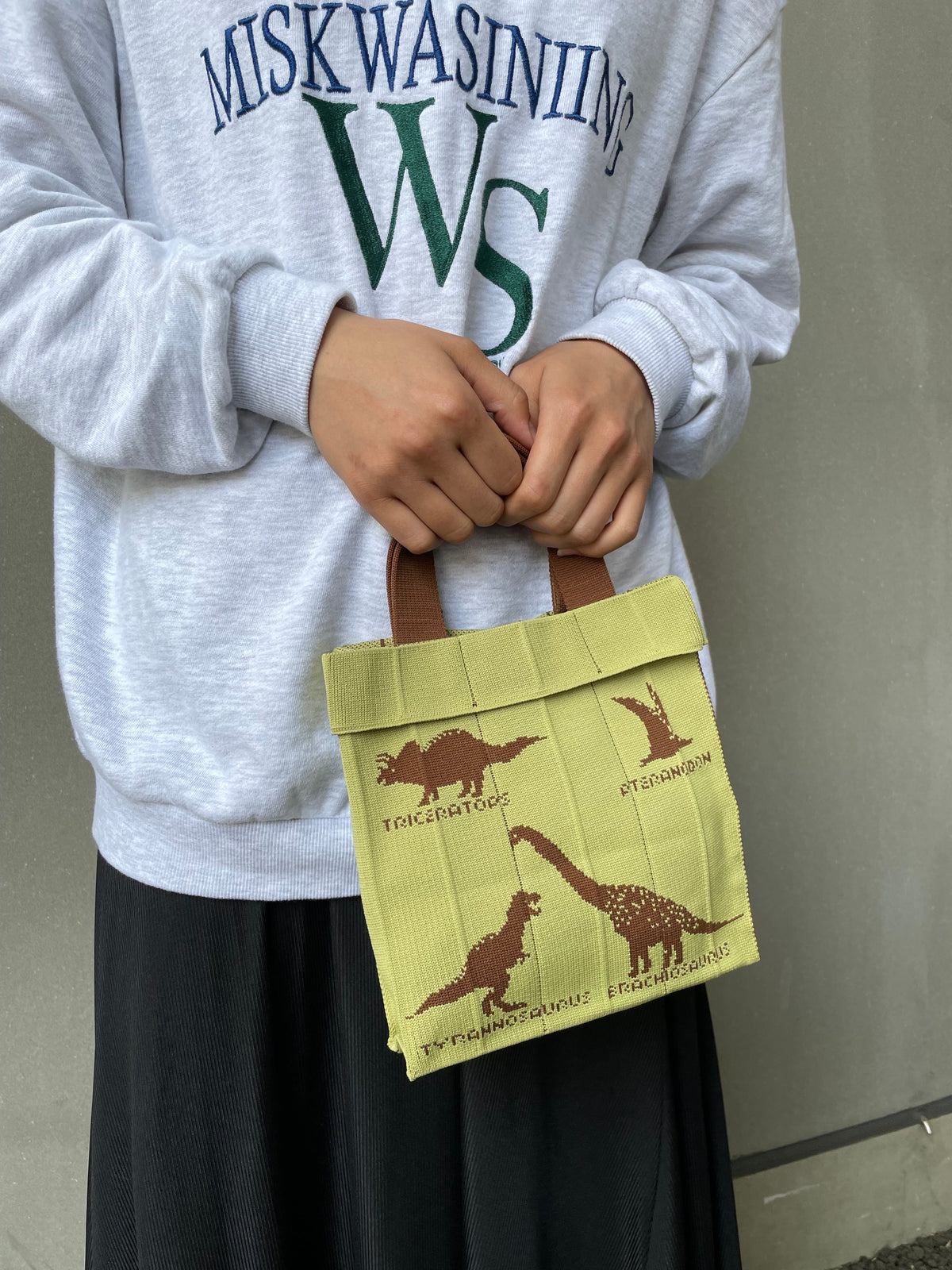 Co-Knitty / Dinosaurs