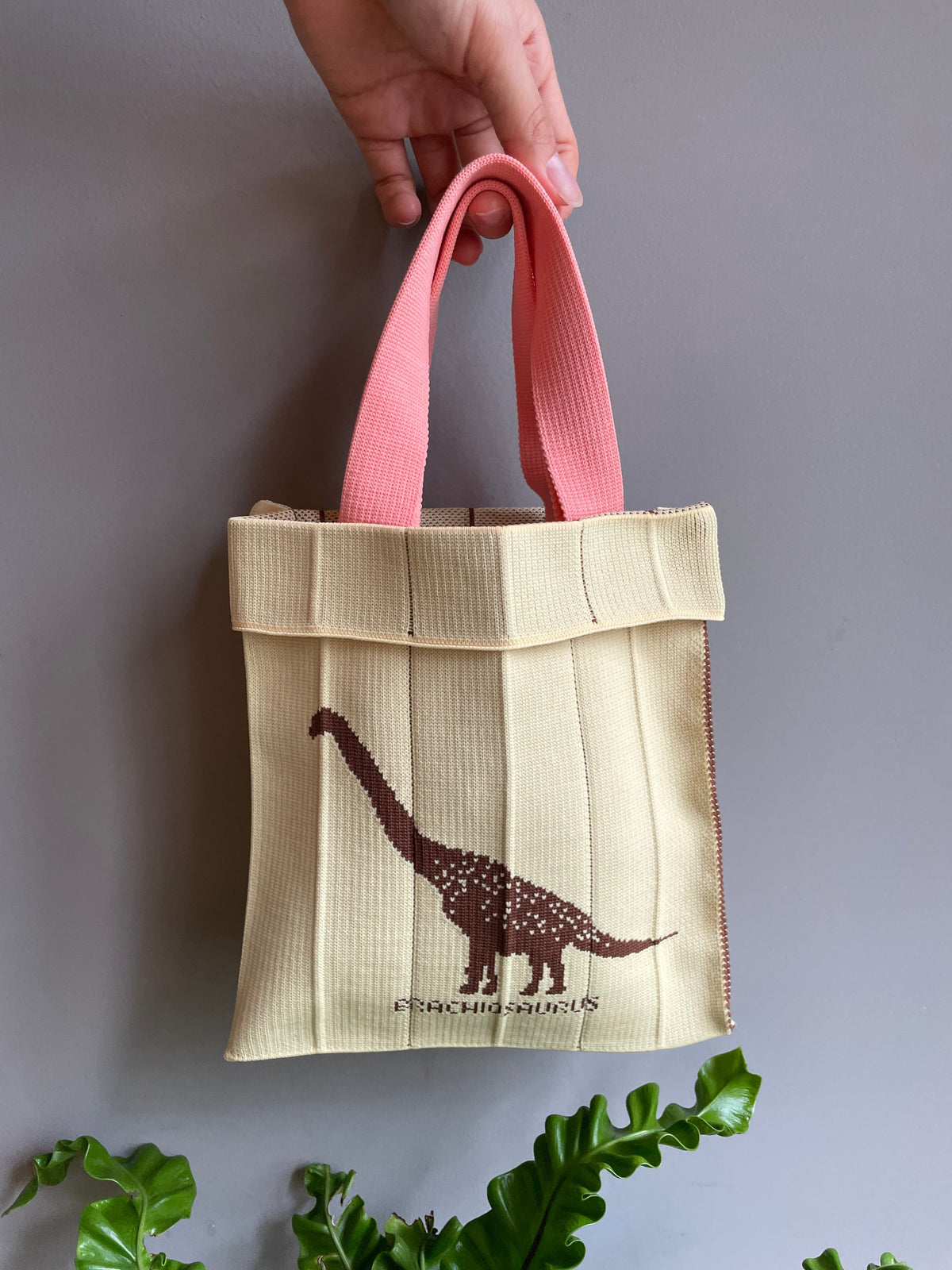 Co-Knitty / Dinosaurs